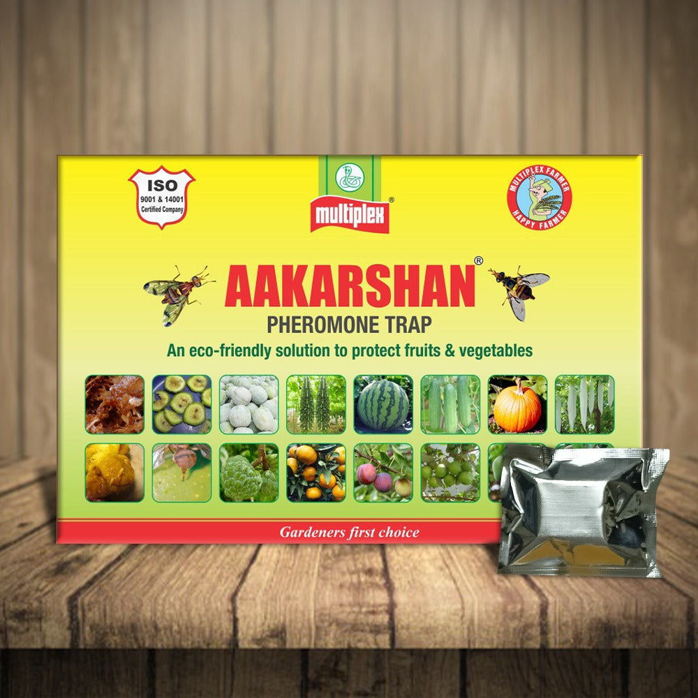 Buy Best Fruit Fly Trap for Terrace Garden Online – Multiplex