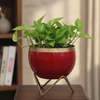 Apple bowl meena print Pot