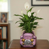 Retro Purple Car Decorative Planter Pot