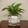 Retro Purple Car Decorative Planter Pot