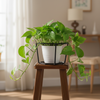 Metal Hanging Planter Basket