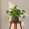 Ivory Blossom Metal Planter Pot