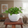 Petal Charm Stool Pot
