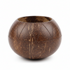 Mug Coconut Planter Pot (zig zag)