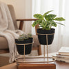 Modern Twin Metal Planter Pot