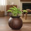 Mug coconut planter (Pot shape)