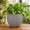 Polka Dot Textured Planter