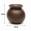 Mug coconut planter (Pot shape)