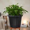 Classic Black Round Planter Pot