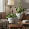 Modern Twin Metal Planter Pot