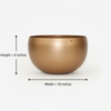 Wall & Hanging Planter Bowl Pot