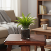 GlassGlow Mini Planter Pot