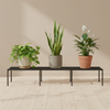 Elevated Metal Garden Plant Rack