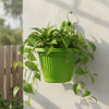 Bello Hook Pot