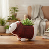 Dog Clay Pots