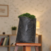 Table Kamini Polybag