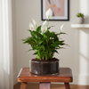 EcoGlass Mini Planter Pot