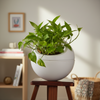 Round Hanging Planter Pot