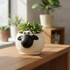 Sheep Face Clay Pots