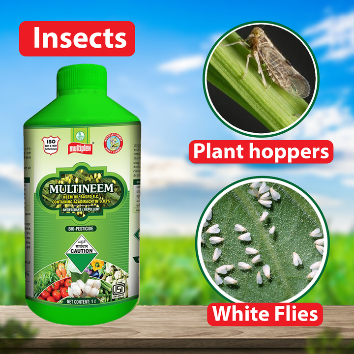 Multiplex Multi Neem 100 ML