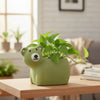 Bear Clay Pots