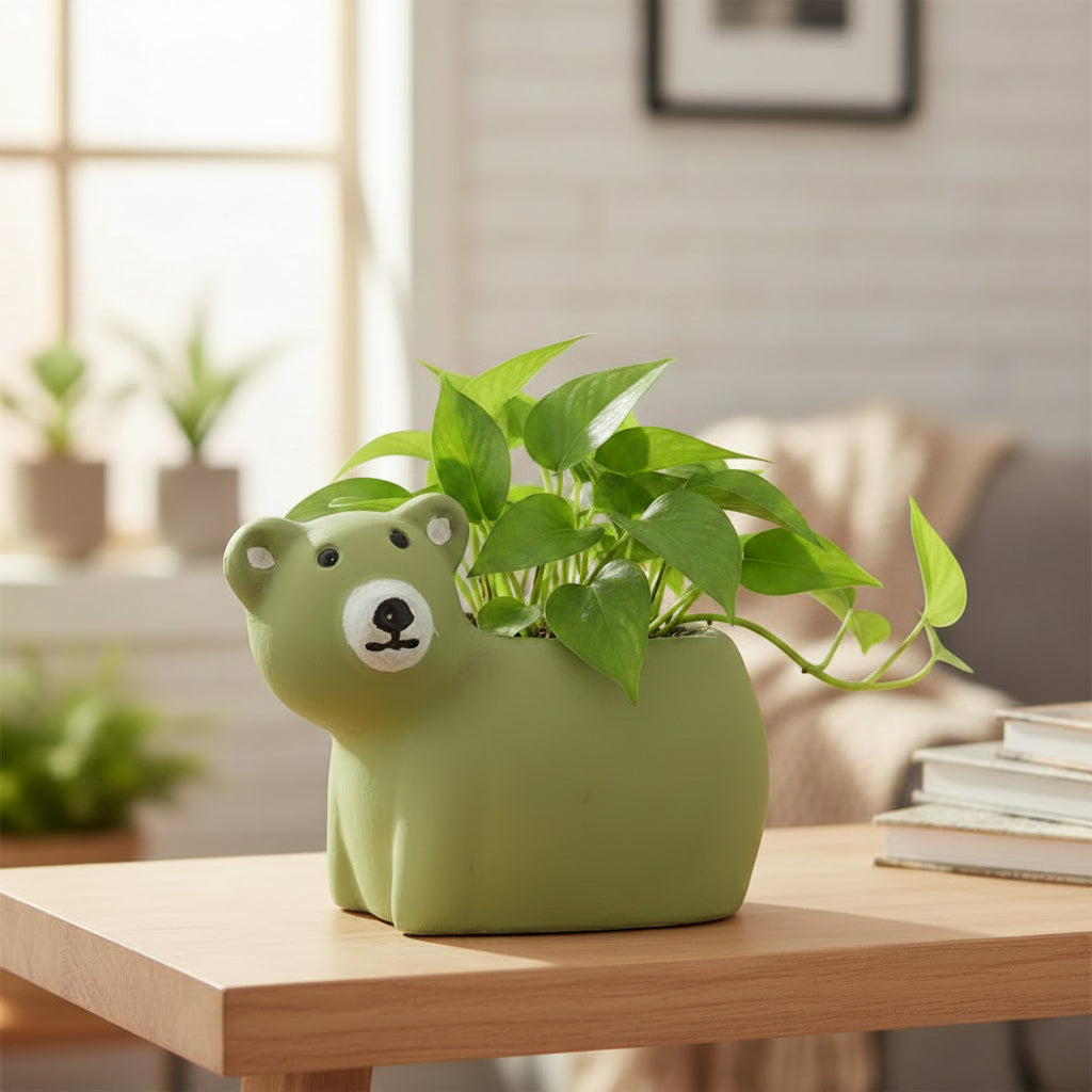 Bear Clay Pots