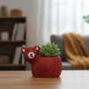 Bear Clay Pots
