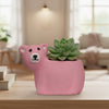 Bear Clay Pots