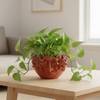 Small Face Flower Pot