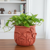 Mashroom Pot