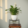 Round Iron Pot Holder