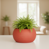 Oval Plain Planter Pot