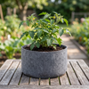 Premium Non-Woven Fabric Grow Bag