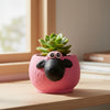 Sheep Face Clay Pots