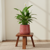 Magnolia Bloom Ottoman Metal Pot