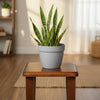 Vintage Geometric Planter Pot