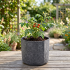 Heavy Duty Fabric Plant Grow Bag