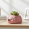 Hedgehog Clay Pots
