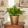 Vintage Geometric Planter Pot