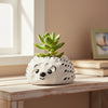 Hedgehog Clay Pots
