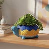 Tortoise Turtle Clay Pots