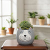 Cute Lamb Face Fiber Planter Pot