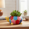 Tortoise Turtle Clay Pots