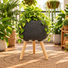 Textured Pebble Planter with Wood Stand