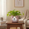 Cute Lamb Face Fiber Planter Pot