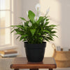 Vintage Geometric Planter Pot
