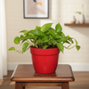 Vintage Geometric Planter Pot