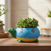 Tortoise Turtle Clay Pots