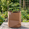 Premium Brown Non-Woven Fabric Grow Bag