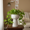 Modern White Fiber Bowl Planter Pot